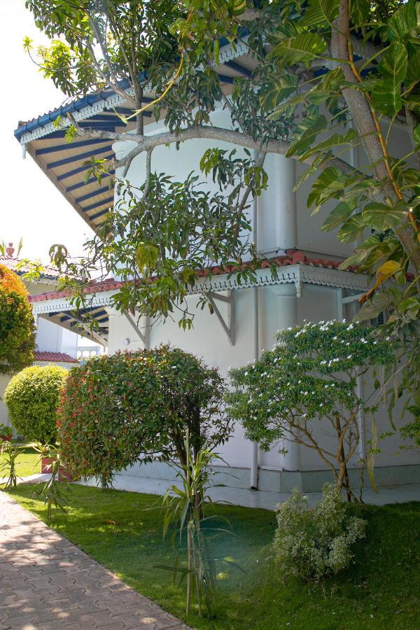 Alma Beach Hotel เวลิกามา ภายนอก รูปภาพ