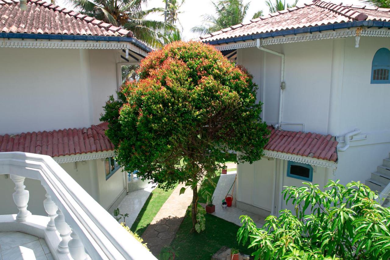 Alma Beach Hotel เวลิกามา ภายนอก รูปภาพ
